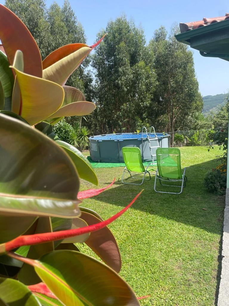 Casa Cataleia Villa Inn Ponte de Lima Dış mekan fotoğraf